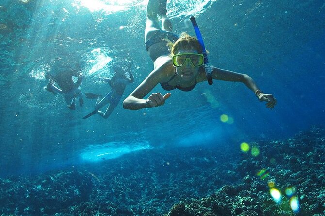 Full Day Tour Isla Marietas With Meals and Open Bar - How to Get to Isla Marietas
