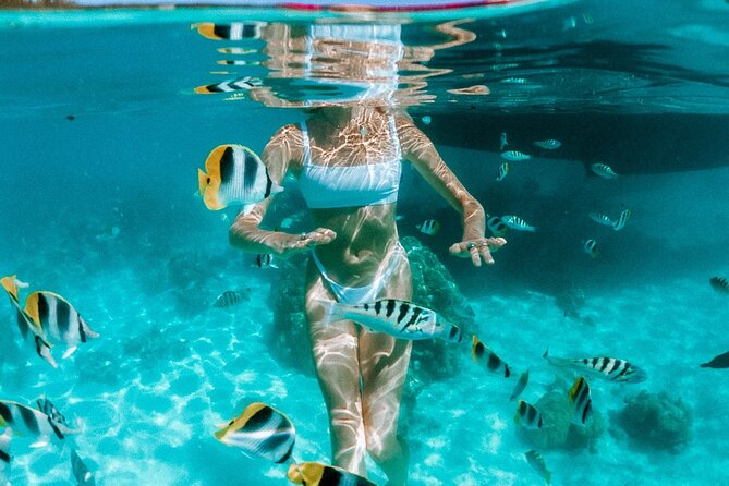 Full Day Tour : Moorea Snorkeling & Sunset Cruise on a Catamaran Named Taboo - Questions