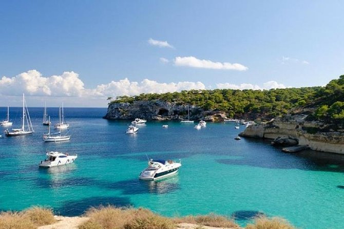 Full Day Tour to Caves of Drach and Hams With Porto Cristo and Pearl Factory - Common Questions