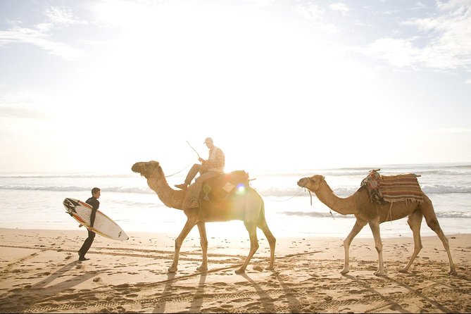 Full-Day Tour to Essaouira - the Ancient Mogador City From Marrakech - Common Questions