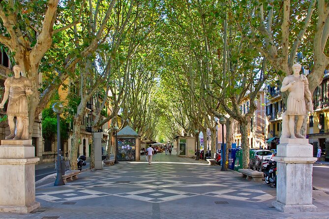 Full-Day Tour to Palma City and Valldemossa - Common Questions