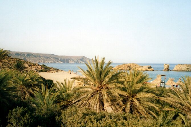 Full-Day Tour to Vai Palm Beach, Toplou Monastery, and Sitia Town - Reviews and Ratings