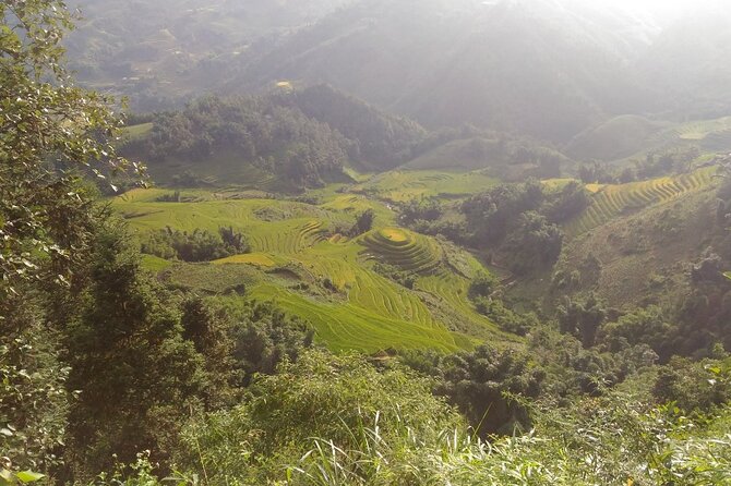 Full Day Trekking in Sapa and Muong Hoa Valley - Common Questions