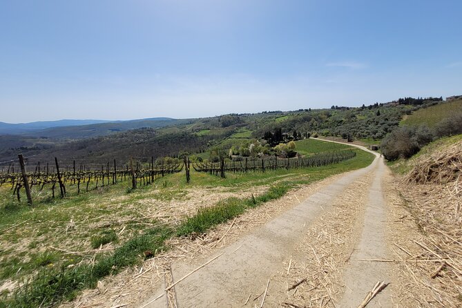 Full-Day Tuscan Hills Bike Tour - Bike Tour Highlights