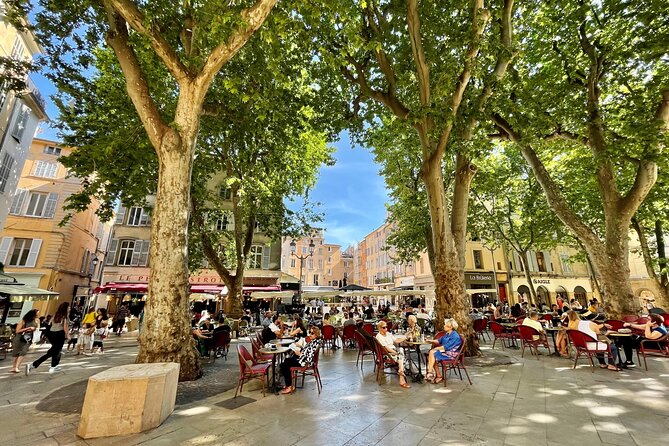 Full-Day Wine and Cheese Tour Around Aix-En-Provence From Marseille - Rainy Day Contingency
