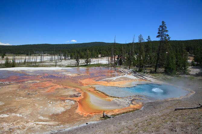 Full Day Yellowstone Natl Park Tour From Big Sky - Private Tour - Highlights of the Tour