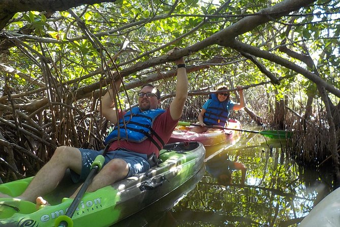 Fully Guided Kayaking Backwater Manatee and Dolphin Tour - Additional Information