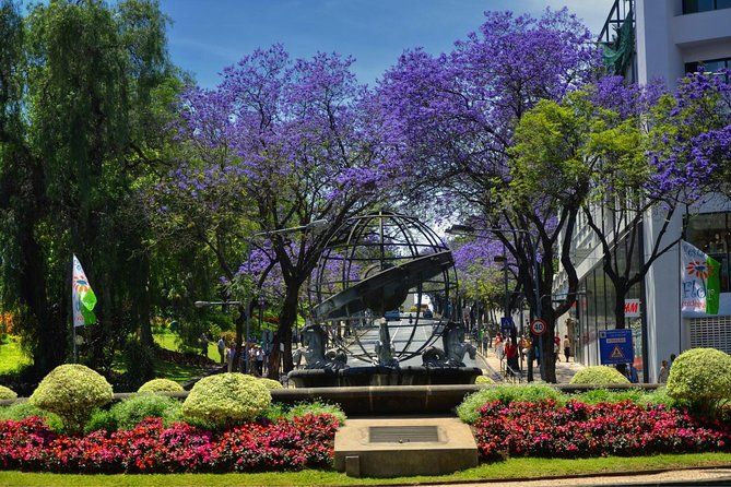 Funchal City Tour by Tukxi (Price per Tukxi - up to 5 People) - Common Questions