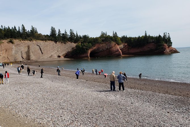 Fundy Coast to Fundy Shore Tour - Small Group Advantage