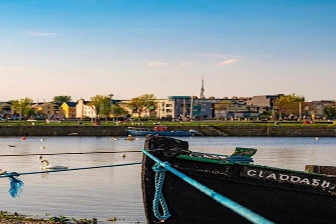 Galway City Walking Tour With Local Guide - Overview and Highlights
