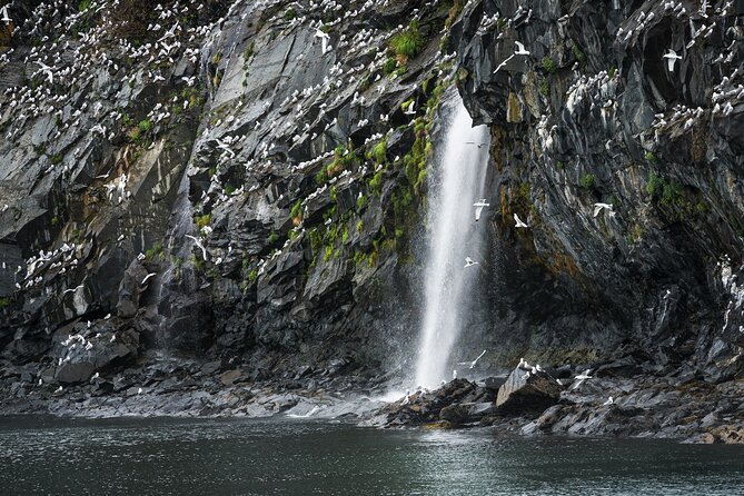 Glacier Quest Cruise - Self-Drive From Anchorage, AK - Traveler Photos and Reviews