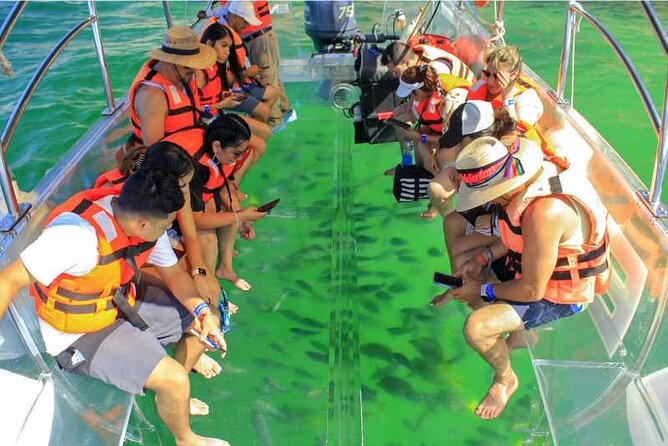 Glass Bottom Boat To the Famous Arch Of Cabo - Pricing Details for the Glass Bottom Boat Tour