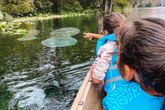 Glass Bottom Kayak Manatee Tour in Silver Springs - Common Questions