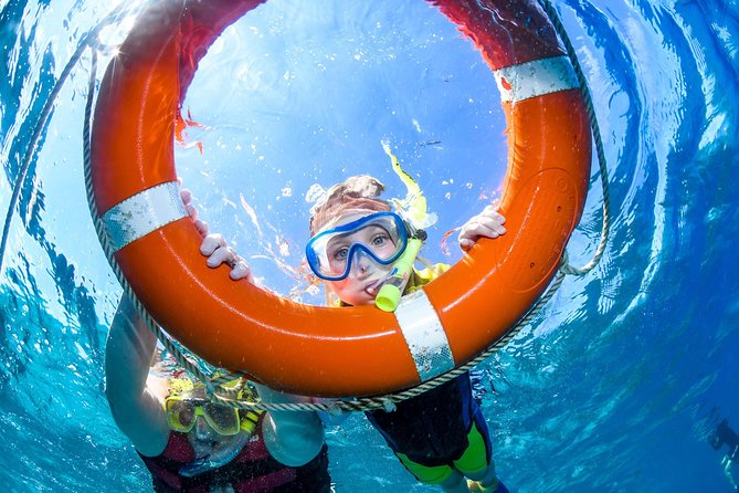Gold Class VIP Great Barrier Reef Cruise From Cairns by Luxury Superyacht - Pricing and Contact Information