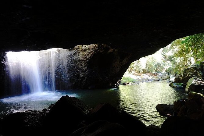 Gold Coast: Natural Arch, Rainforest & Volcano Canyon  - Surfers Paradise - Accessibility Options
