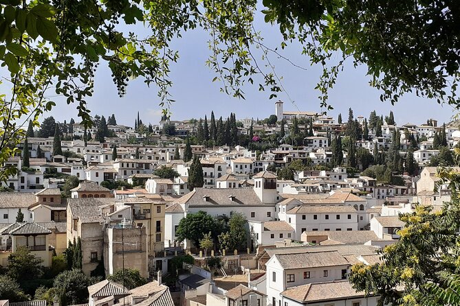 Granada History, Heritage and Culture Guided Tour - Additional Information