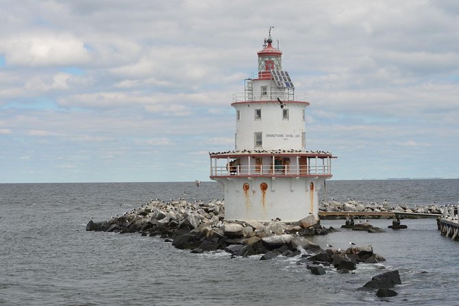 Grand Lighthouse Tour From Cape May - Tour Reviews