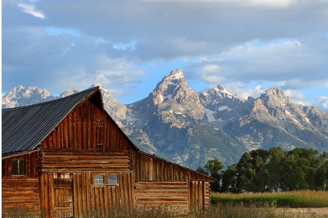 Grand Teton National Park Tour From Jackson Hole - Traveler Reviews and Feedback
