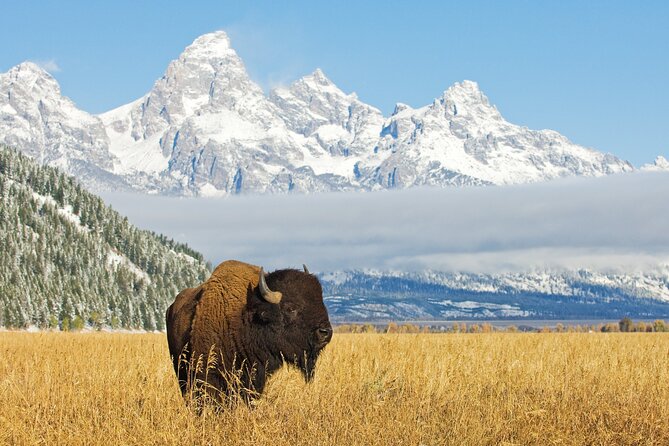 Grand Teton Self-Guided Driving Audio Tour - Directions