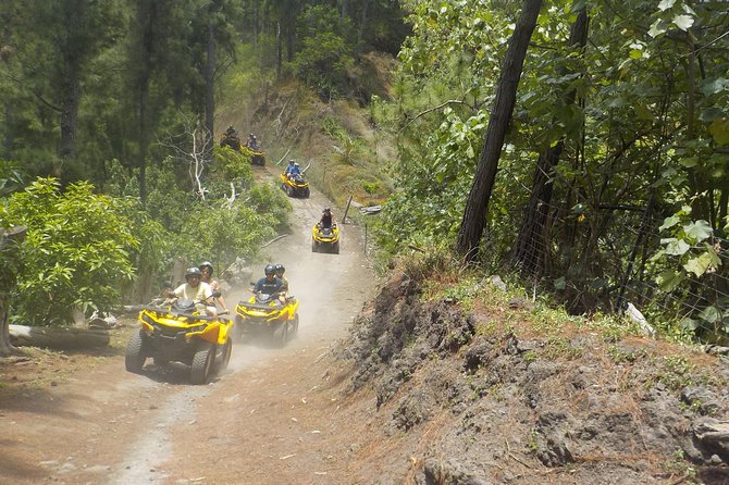 Grand Tour Quad 3h30 Quad Excursion in Moorea (Single or Two-Seater) - Safety Guidelines