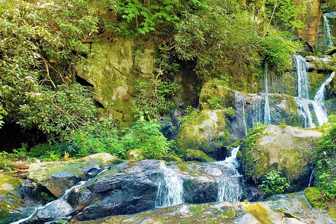 Great Smoky Mountains National Park and Cades Cove Self-Driving Bundle Tours - Tour Bundle Options