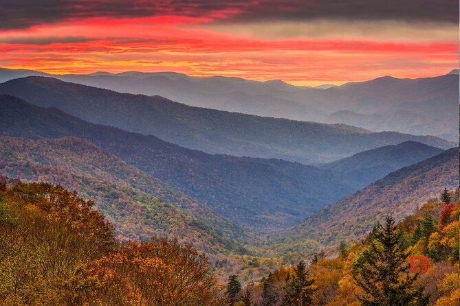 Great Smoky Mountains National Park: Audio Driving Tour - Reviews and Ratings