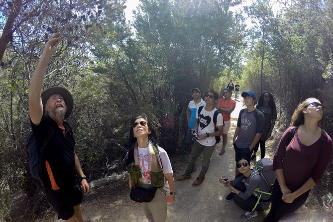 Group Day Hike With Oysters and Ice Cream to Wineglass Bay  - Hobart - The Sum Up