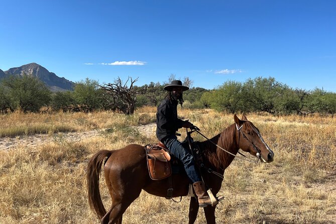 Guided 2 Hour Horseback Ride Catalina State Park Coronado Forest - The Sum Up