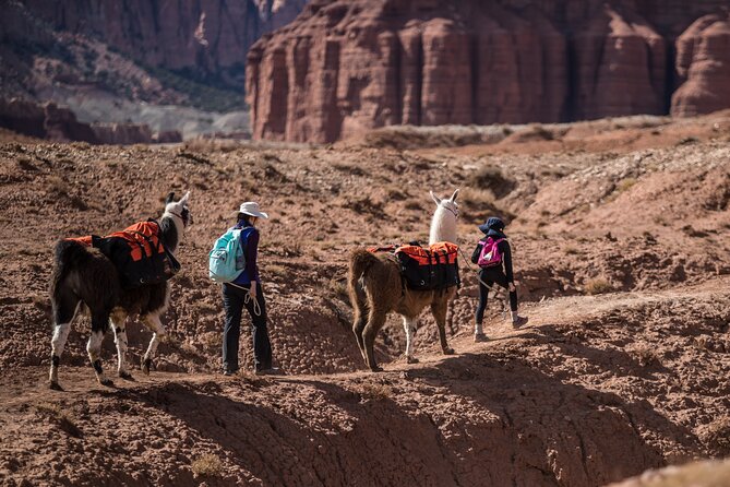 Guided Awesome 2-Hour Llama Hikes Private Experience - Common Questions