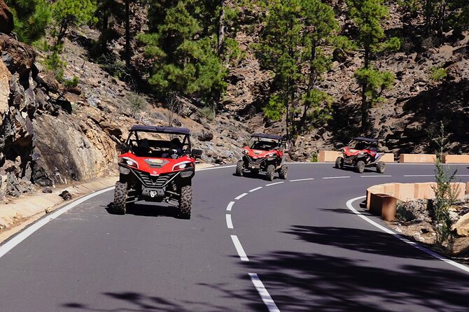 Guided Buggy Tour Through Teide National Park - How to Prepare for the Buggy Tour