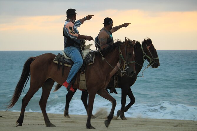 Guided Cabo Horseback Ride With Hotel Pickup  - Cabo San Lucas - Horse Care and Training