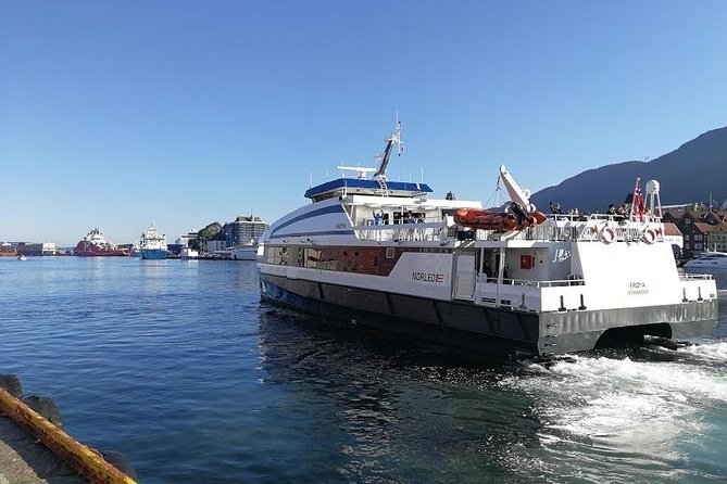 Guided Day Tour to Flåm - Grand Sognefjord Cruise & Flåm Railway - Reviews and Recommendations