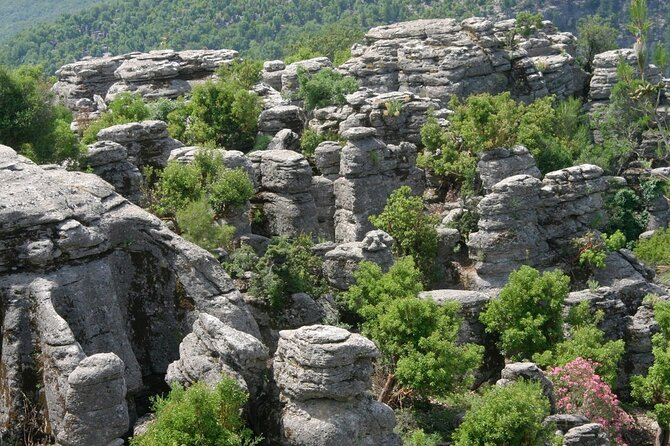 Guided Full Day Tazi Canyon and Selge City Tour in Manavgat - The Sum Up