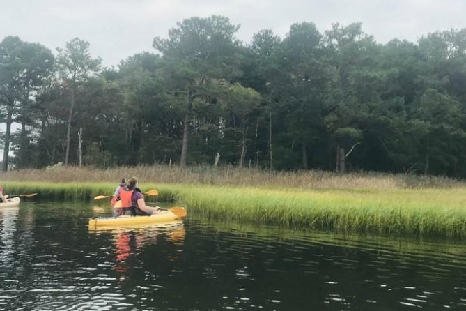 Guided Kayak Excursion Rehoboth Back Bay - Common Questions