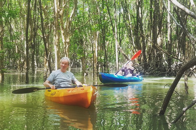 Guided Kayak Tour of Khao Lak Mangroves - Common Questions