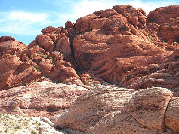 Guided Mountain Bike Tour of Mustang Trail in Red Rock Canyon - Common Questions