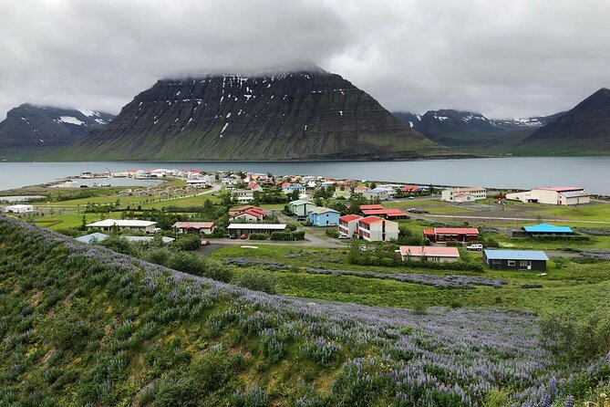 Guided Private Tour of Isafjordur and Its Fascinating Rural Surroundings - Booking Information and Pricing