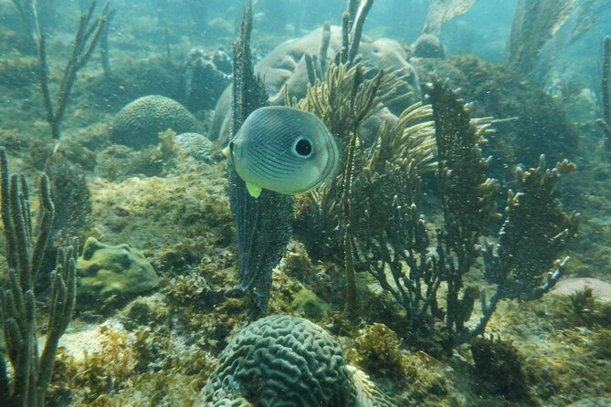 Guided Shore Diving Tour - Directions