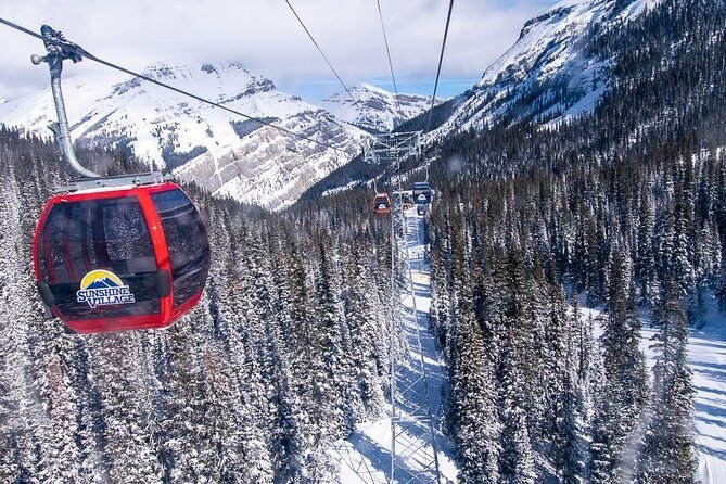 Guided Skiing or Snowboarding in Quebec Enchanted Forests - What to Expect From a Guided Skiing or Snowboarding Trip in Quebec