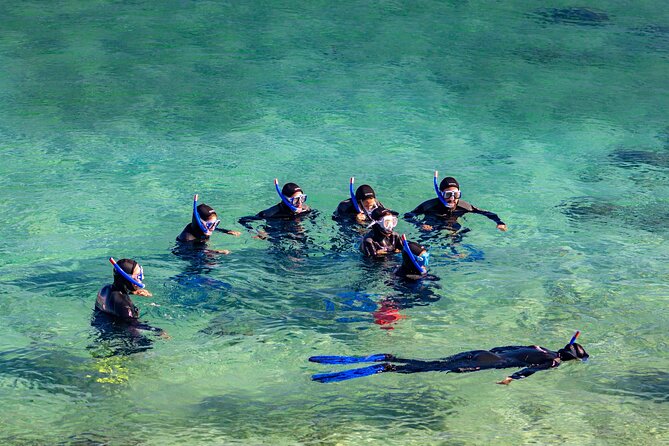 Guided Snorkeling Activity on the Island of Tarifa - Meeting and Pickup