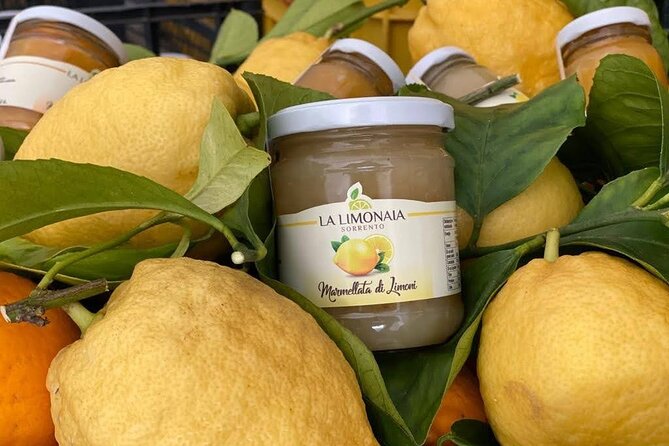 Guided Tour of a Historic Lemon Grove in Sorrento - Directions