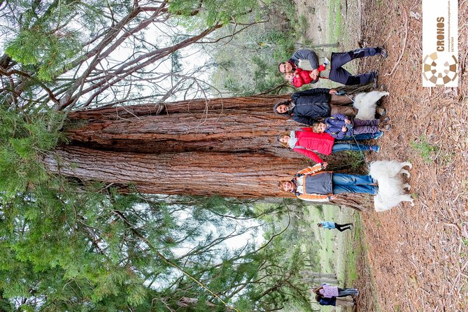 Guided Visit to the Redwoods of La Losa. - Booking Your Guided Visit