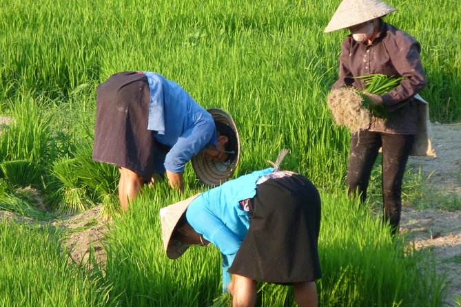 Ha Giang Trekker 2D2N - Pricing Information