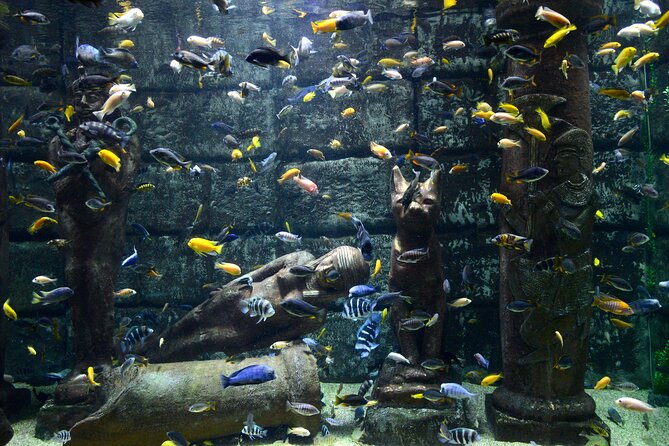 Half Day Antalya Aquarium Tour And Wax Museum - Common Questions