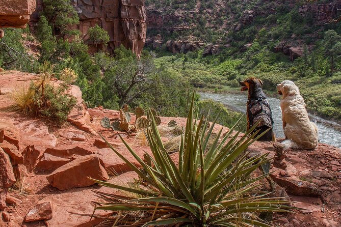 Half-Day Arkansas River - The Numbers Rafting Tour - Cancellation Policy and Reviews
