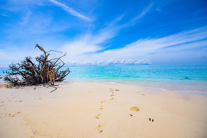 Half Day Bamboo Island Tour By Private Longtail Boat From Phi Phi - Directions