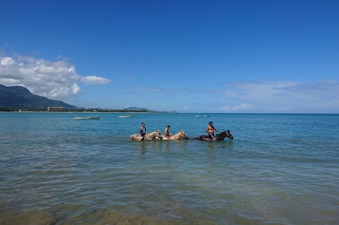 Half-Day Beach Horse Back Riding in Puerto Plata - Common Questions