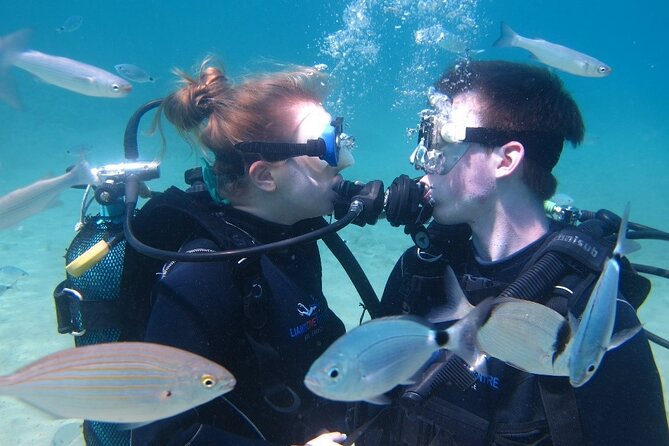 Half Day Boat Diving Experience in Kos Greece - Group Size and Atmosphere