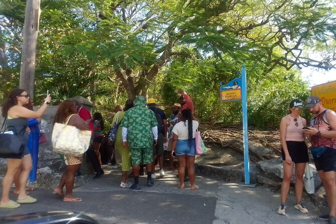 Half Day Bus City Tour In Nassau - Tour Guide