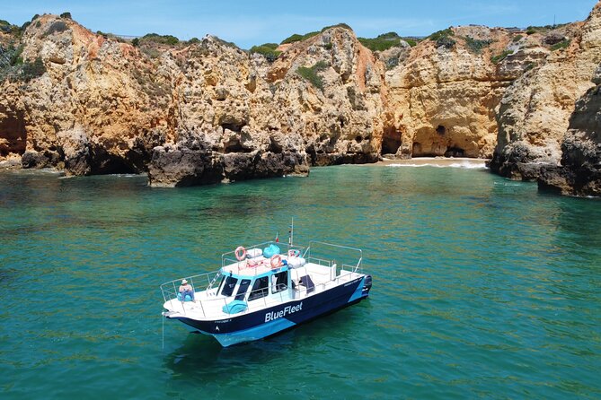 Half Day Cruise to Ponta Da Piedade With Lunch and Drinks - The Sum Up